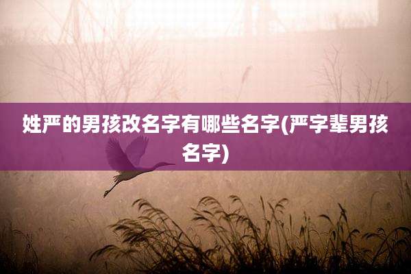 姓严的男孩改名字有哪些名字(严字辈男孩名字)