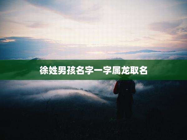 徐姓男孩名字一字属龙取名