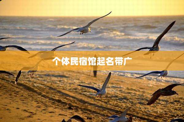 个体民宿馆起名带广
