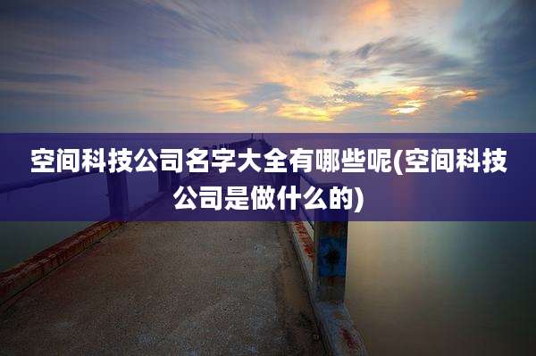 空间科技公司名字大全有哪些呢(空间科技公司是做什么的)