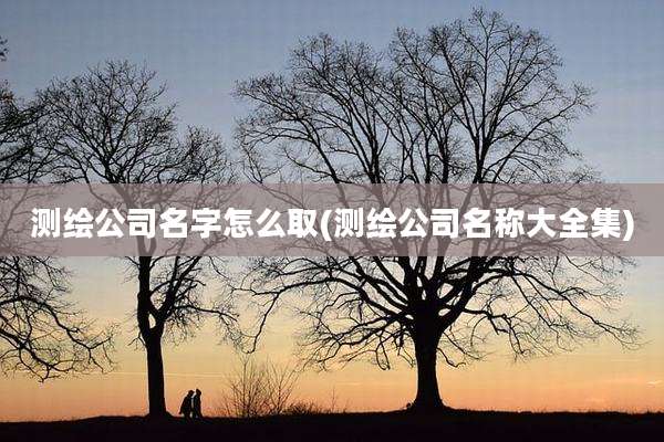 测绘公司名字怎么取(测绘公司名称大全集)