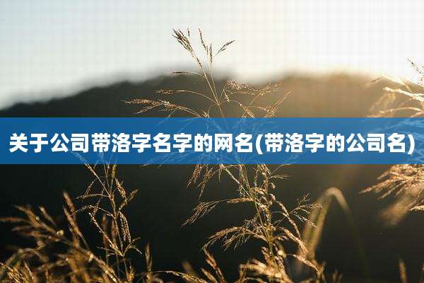 关于公司带洛字名字的网名(带洛字的公司名)