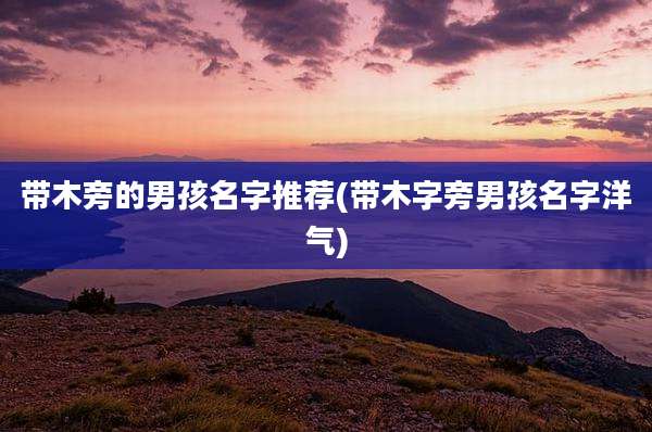带木旁的男孩名字推荐(带木字旁男孩名字洋气)