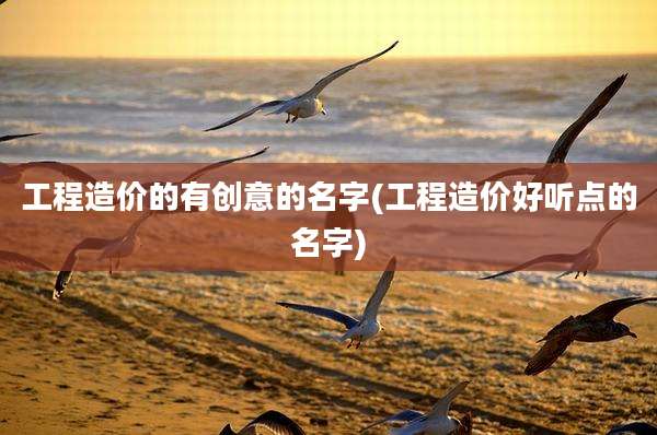 工程造价的有创意的名字(工程造价好听点的名字)