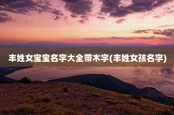 丰姓女宝宝名字大全带木字(丰姓女孩名字)