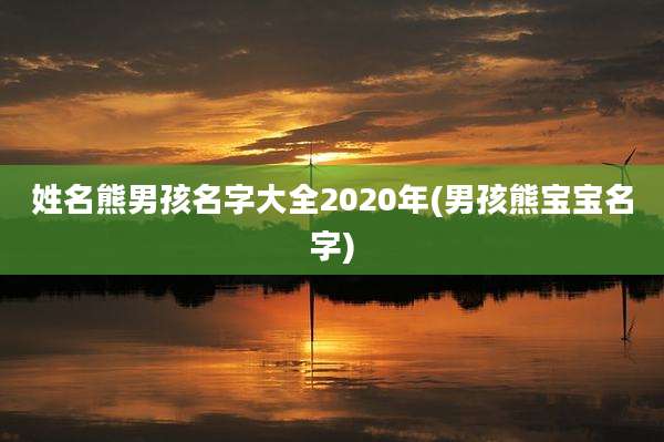 姓名熊男孩名字大全2020年(男孩熊宝宝名字)
