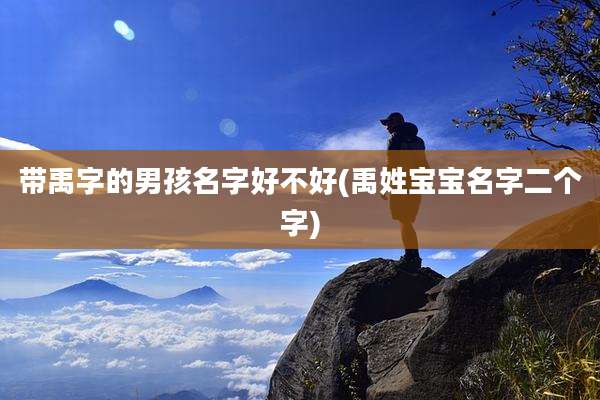 带禹字的男孩名字好不好(禹姓宝宝名字二个字)