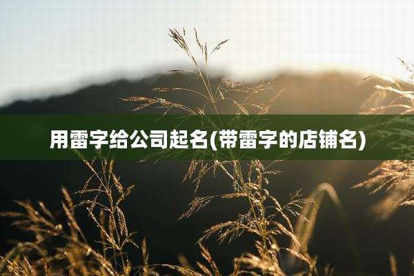 用雷字给公司起名(带雷字的店铺名)