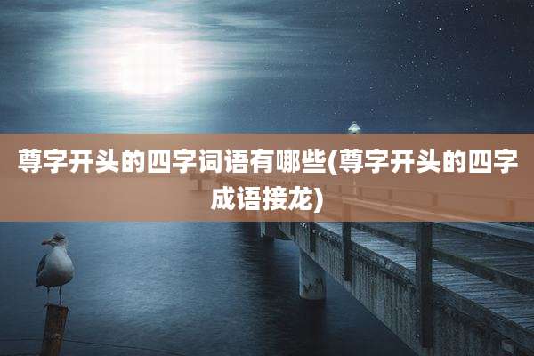 尊字开头的四字词语有哪些(尊字开头的四字成语接龙)