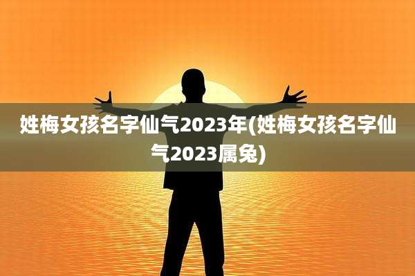 姓梅女孩名字仙气2023年(姓梅女孩名字仙气2023属兔)