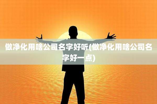 做净化用啥公司名字好听(做净化用啥公司名字好一点)