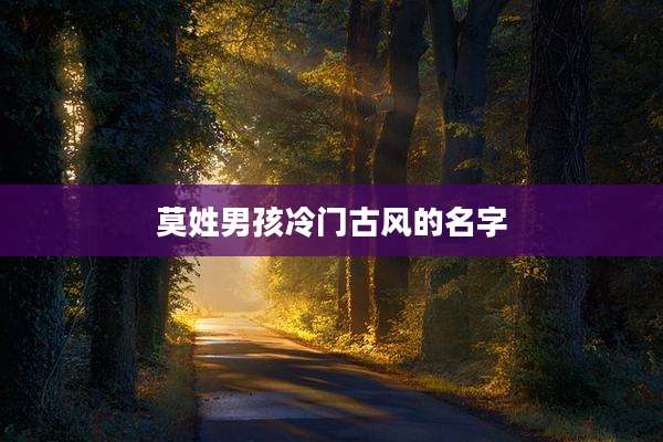 莫姓男孩冷门古风的名字