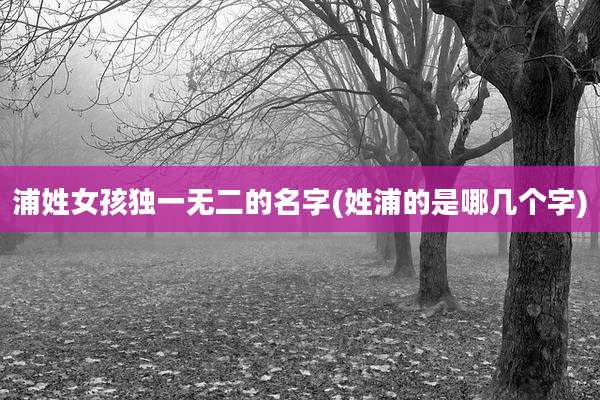 浦姓女孩独一无二的名字(姓浦的是哪几个字)