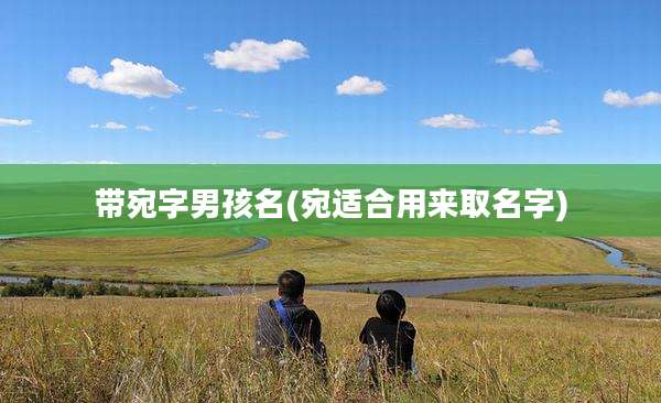 带宛字男孩名(宛适合用来取名字)