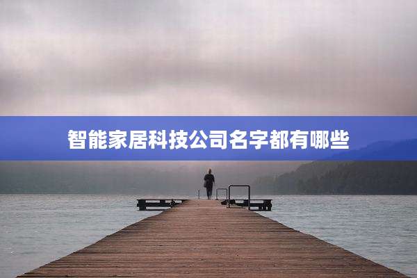 智能家居科技公司名字都有哪些