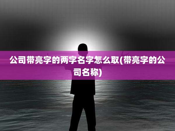 公司带亮字的两字名字怎么取(带亮字的公司名称)