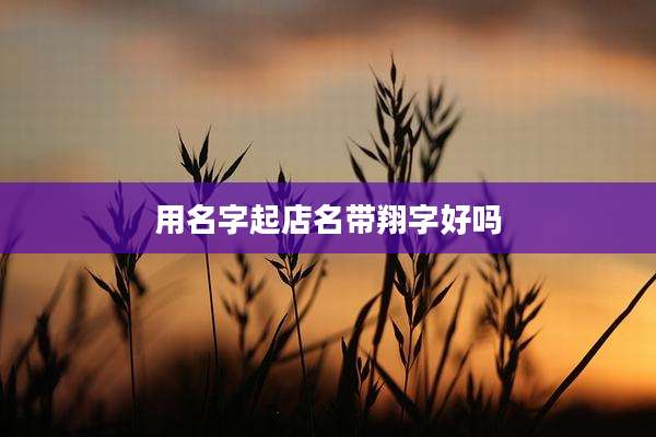 用名字起店名带翔字好吗