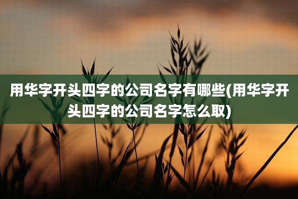 用华字开头四字的公司名字有哪些(用华字开头四字的公司名字怎么取)