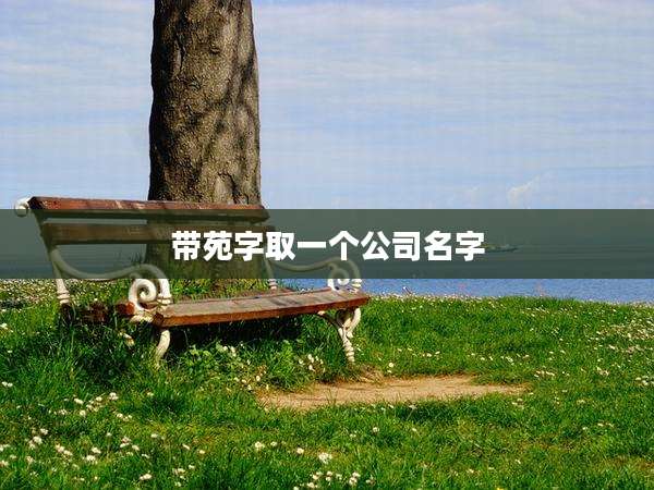 带苑字取一个公司名字