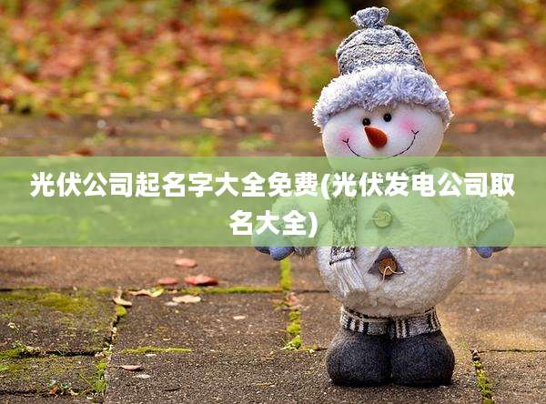 光伏公司起名字大全免费(光伏发电公司取名大全)