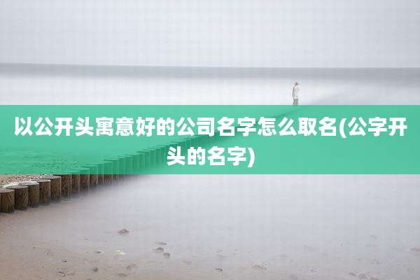 以公开头寓意好的公司名字怎么取名(公字开头的名字)