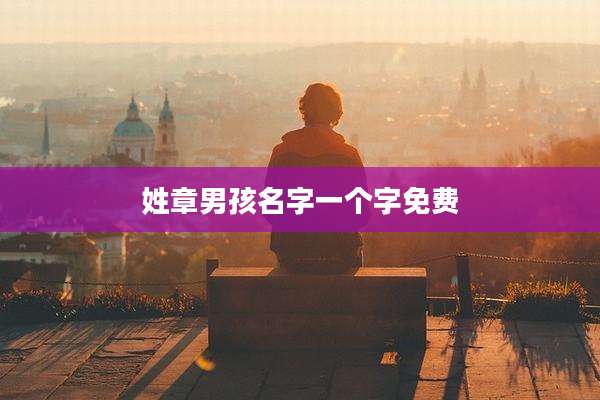 姓章男孩名字一个字免费