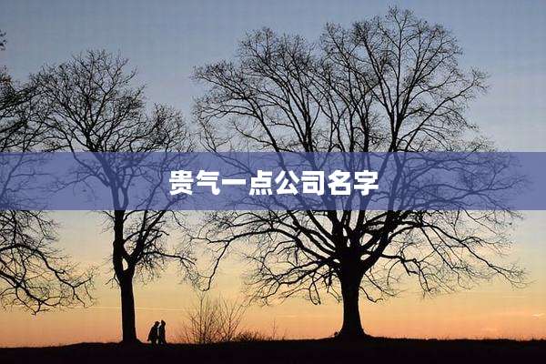 贵气一点公司名字