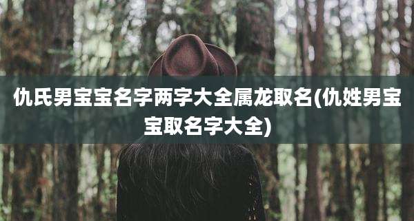 仇氏男宝宝名字两字大全属龙取名(仇姓男宝宝取名字大全)