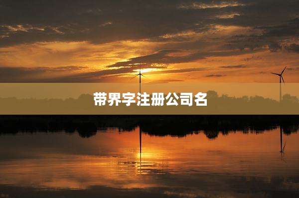 带界字注册公司名