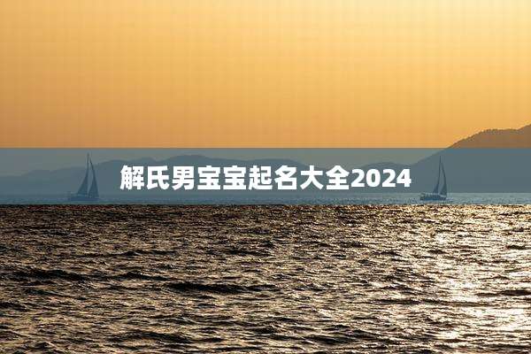 解氏男宝宝起名大全2024