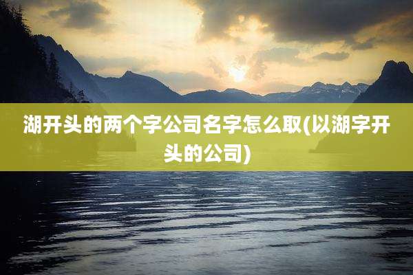 湖开头的两个字公司名字怎么取(以湖字开头的公司)