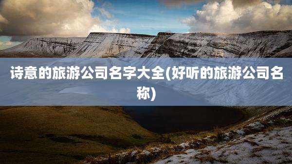 诗意的旅游公司名字大全(好听的旅游公司名称)