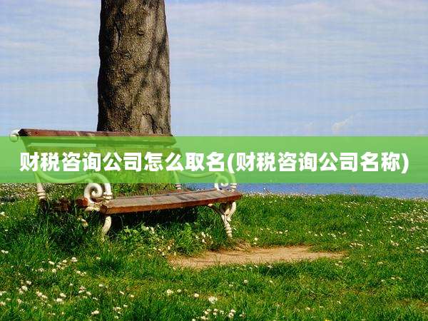 财税咨询公司怎么取名(财税咨询公司名称)