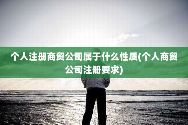 个人注册商贸公司属于什么性质(个人商贸公司注册要求)