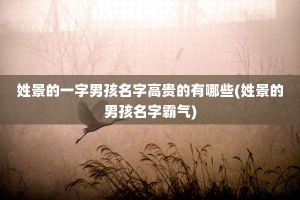 姓景的一字男孩名字高贵的有哪些(姓景的男孩名字霸气)