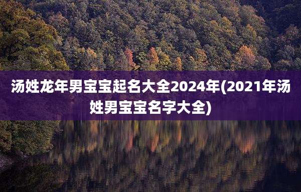汤姓龙年男宝宝起名大全2024年(2021年汤姓男宝宝名字大全)