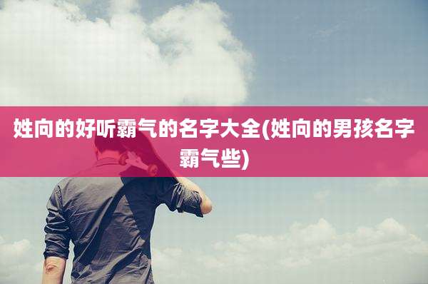 姓向的好听霸气的名字大全(姓向的男孩名字霸气些)