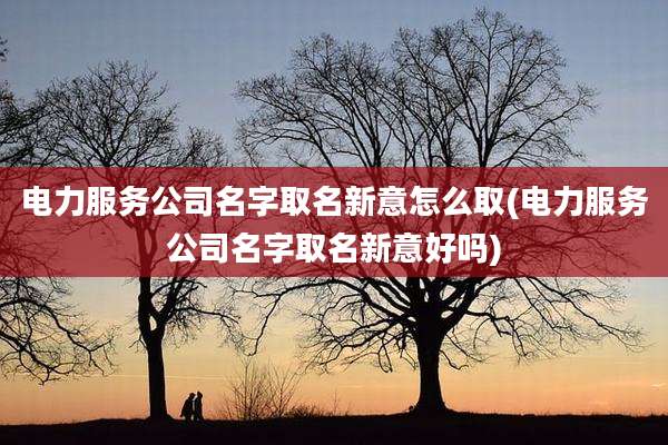 电力服务公司名字取名新意怎么取(电力服务公司名字取名新意好吗)