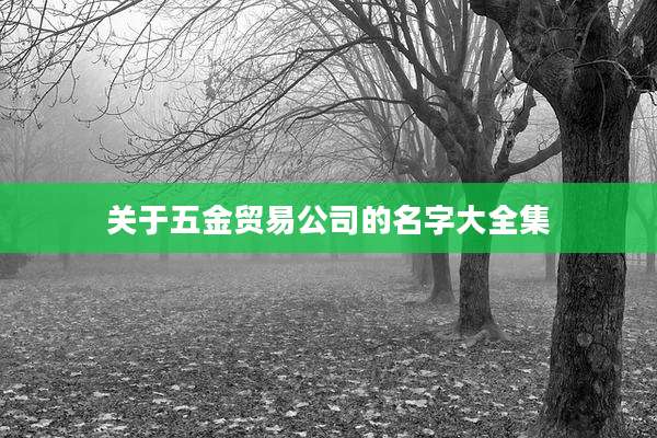 关于五金贸易公司的名字大全集