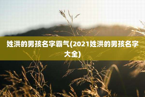 姓洪的男孩名字霸气(2021姓洪的男孩名字大全)