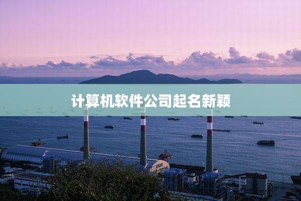 计算机软件公司起名新颖