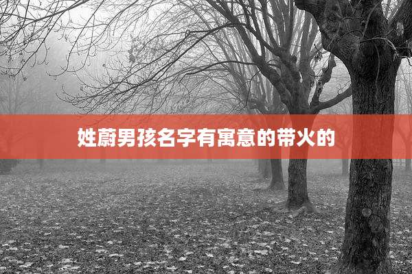 姓蔚男孩名字有寓意的带火的
