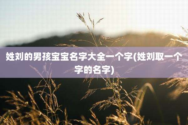 姓刘的男孩宝宝名字大全一个字(姓刘取一个字的名字)
