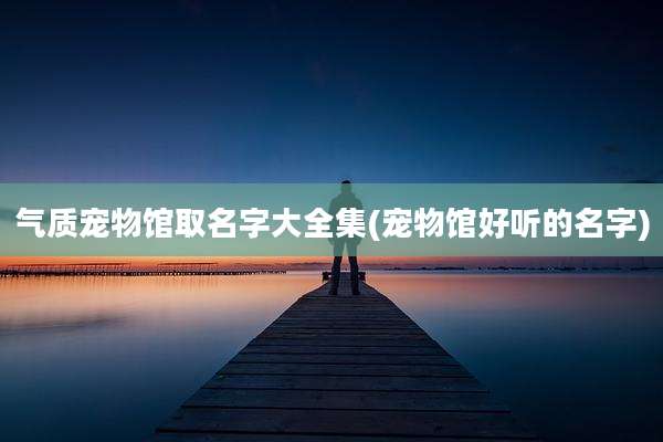 气质宠物馆取名字大全集(宠物馆好听的名字)