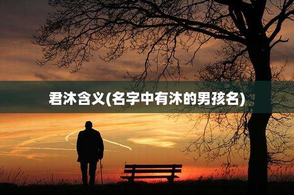 君沐含义(名字中有沐的男孩名)