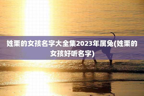 姓栗的女孩名字大全集2023年属兔(姓栗的女孩好听名字)