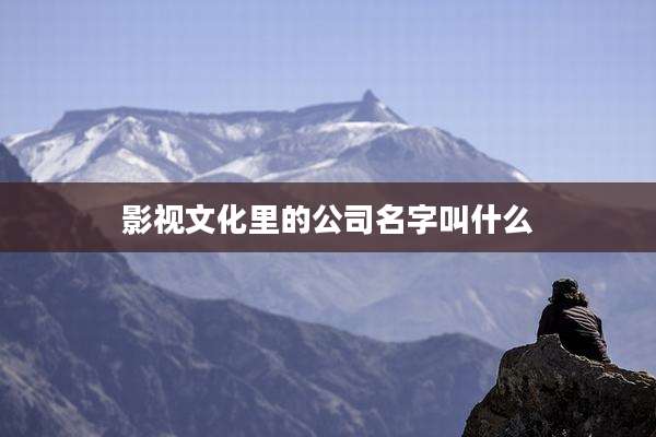 影视文化里的公司名字叫什么
