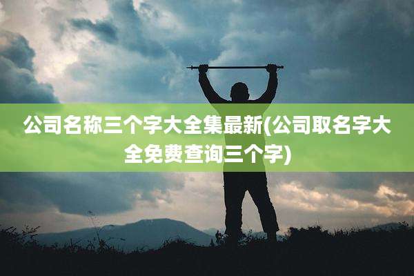公司名称三个字大全集最新(公司取名字大全免费查询三个字)