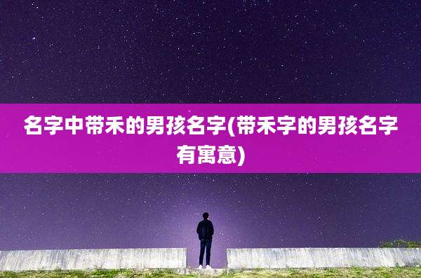 名字中带禾的男孩名字(带禾字的男孩名字有寓意)