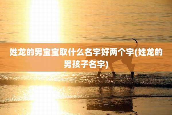 姓龙的男宝宝取什么名字好两个字(姓龙的男孩子名字)